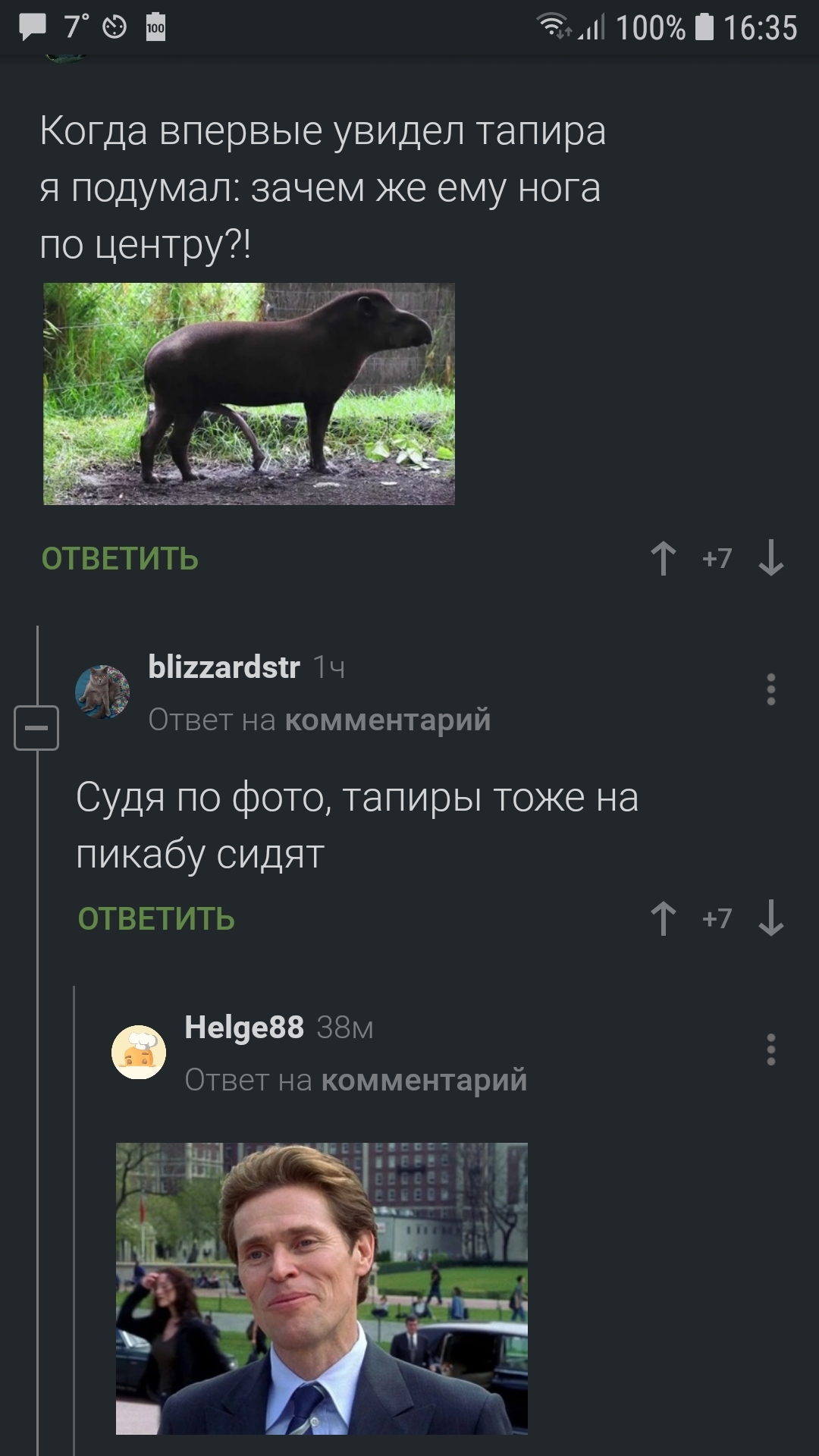 Я и сам немного своего рода тапир - Комментарии на Пикабу, Комментарии, Тапир, 49 и 5, Пенис