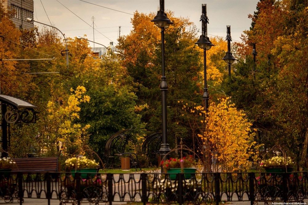 Golden autumn in Tomsk - Milota, Images, Siberia, Tomsk, Autumn, Leaves, Wooden architecture, Old man, Longpost, , The photo