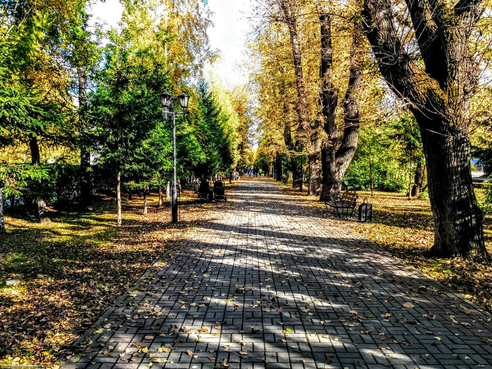 Golden autumn in Tomsk - Milota, Images, Siberia, Tomsk, Autumn, Leaves, Wooden architecture, Old man, Longpost, , The photo