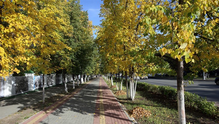 Golden autumn in Tomsk - Milota, Images, Siberia, Tomsk, Autumn, Leaves, Wooden architecture, Old man, Longpost, , The photo