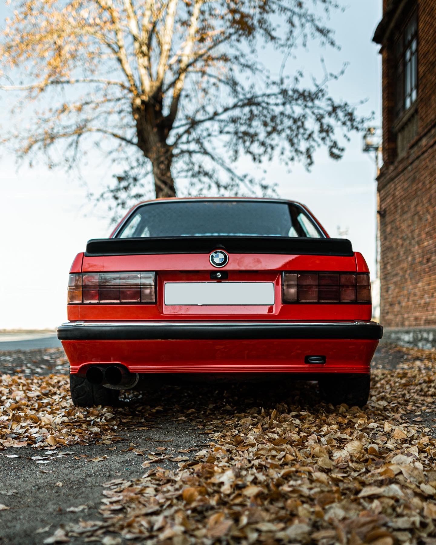 BMW 3 Series (E30) - Моё, Bodybeat, BMW, Stance, Длиннопост