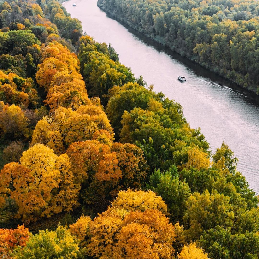 Dolgoprudny - Russia, Dolgoprudny, Autumn, The photo, River, Nature, beauty of nature, The nature of Russia, , Forest