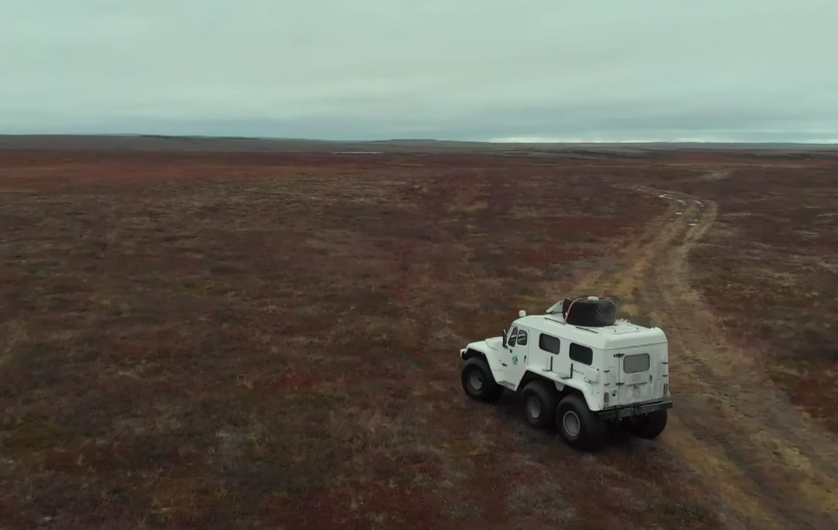 The owner of the deer mountains of the Urals and Baidarat - My, North, Tundra, Nomads, Reindeer herder, Chum, Far North, Arctic, Yamal, , YaNAO, The nature of Russia, Video, Longpost, Dog