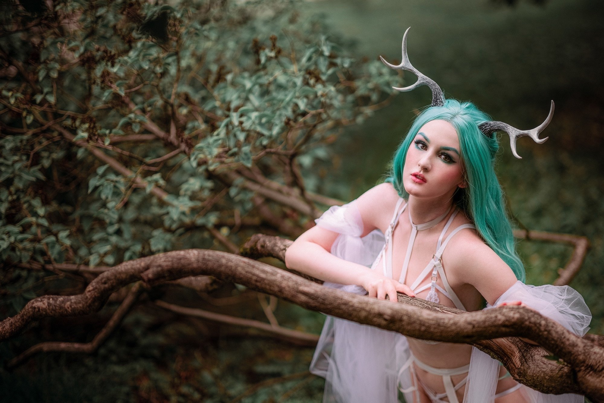 Forest nymph