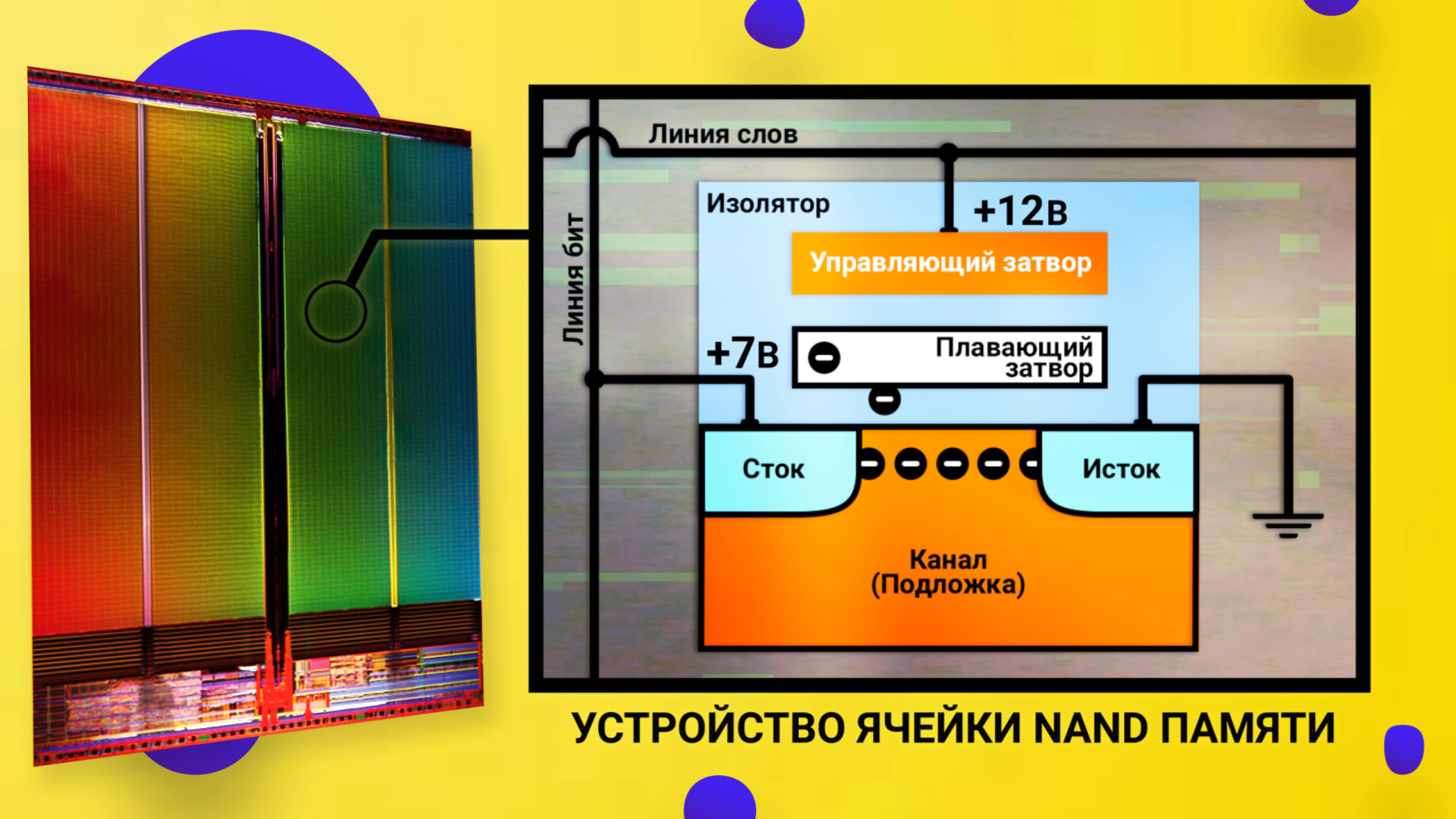 Твердотельный накопитель vpx тарков где найти