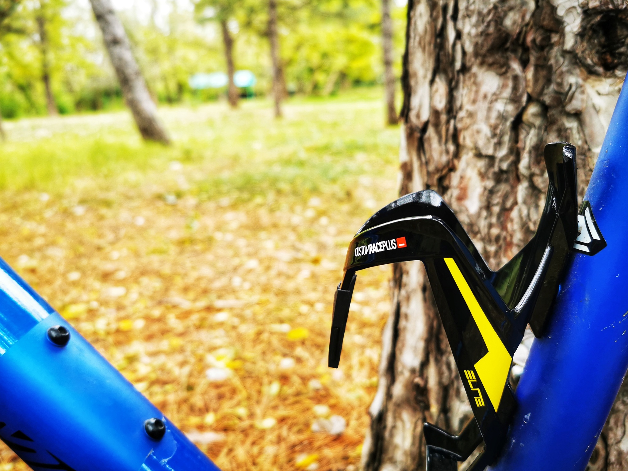 Autumn is no reason to stay at home - My, A bike, Mobile photography, Autumn, Longpost