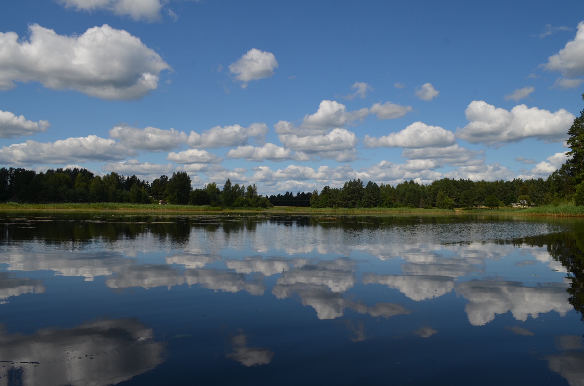 Fishing - My, River, Great, Fishing, Opochka, The photo, beauty of nature