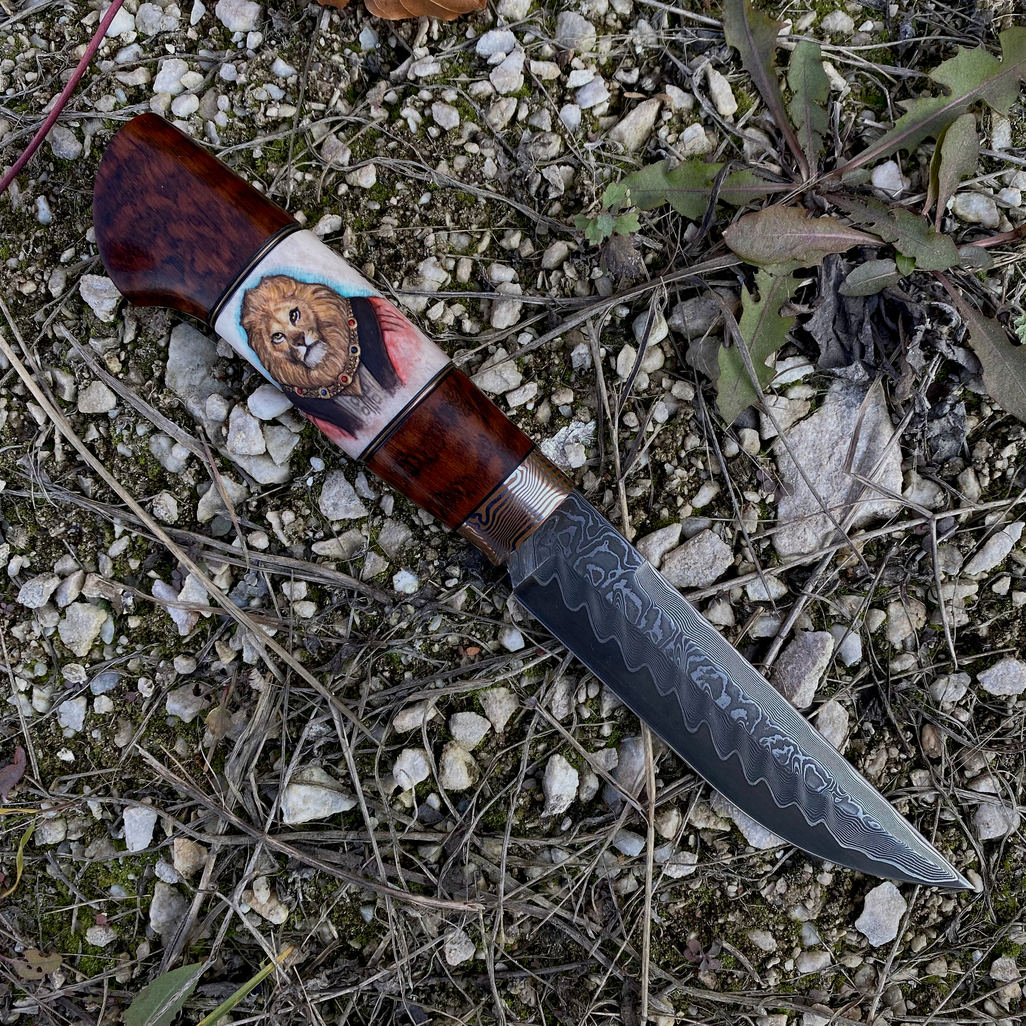 Knife Sovereign - My, Knife, Sire, Niccolo Machiavelli, Leather, Horns, Bone carving, Longpost