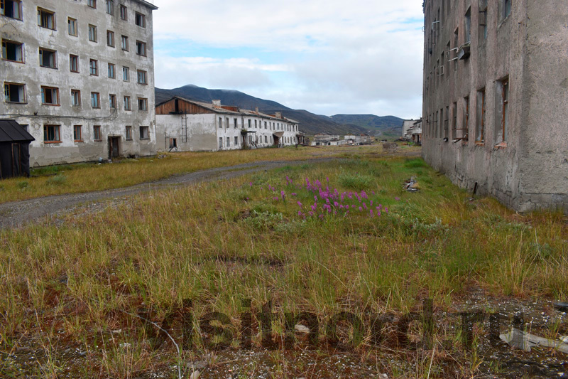 Walks in the dead city: boiler room, condensed milk - My, Adventures, Travels, Chukotka, , To be continued, Abandoned, Ghost town, Travelers, , Туристы, Tourism, North, Longpost