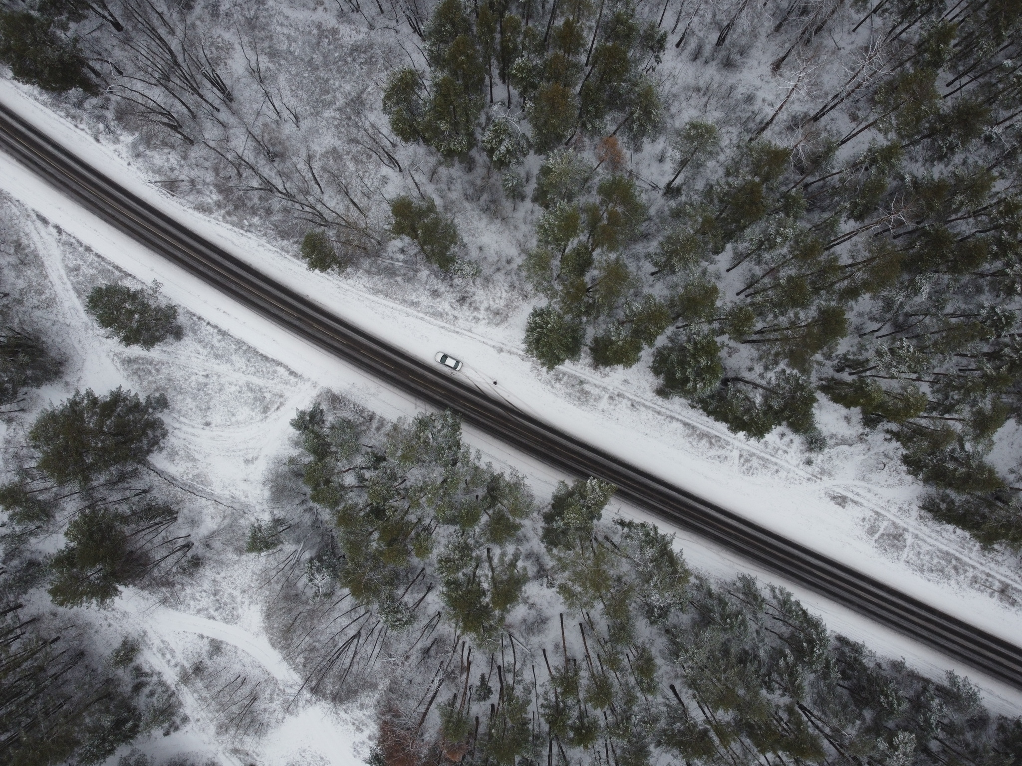 Winter road - My, DJI mini 2, Forest, The photo