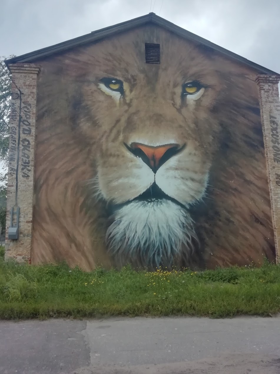 Lion King. - Graffiti, Drawing, Krasnoye Sormovo, Nizhny Novgorod, Repeat