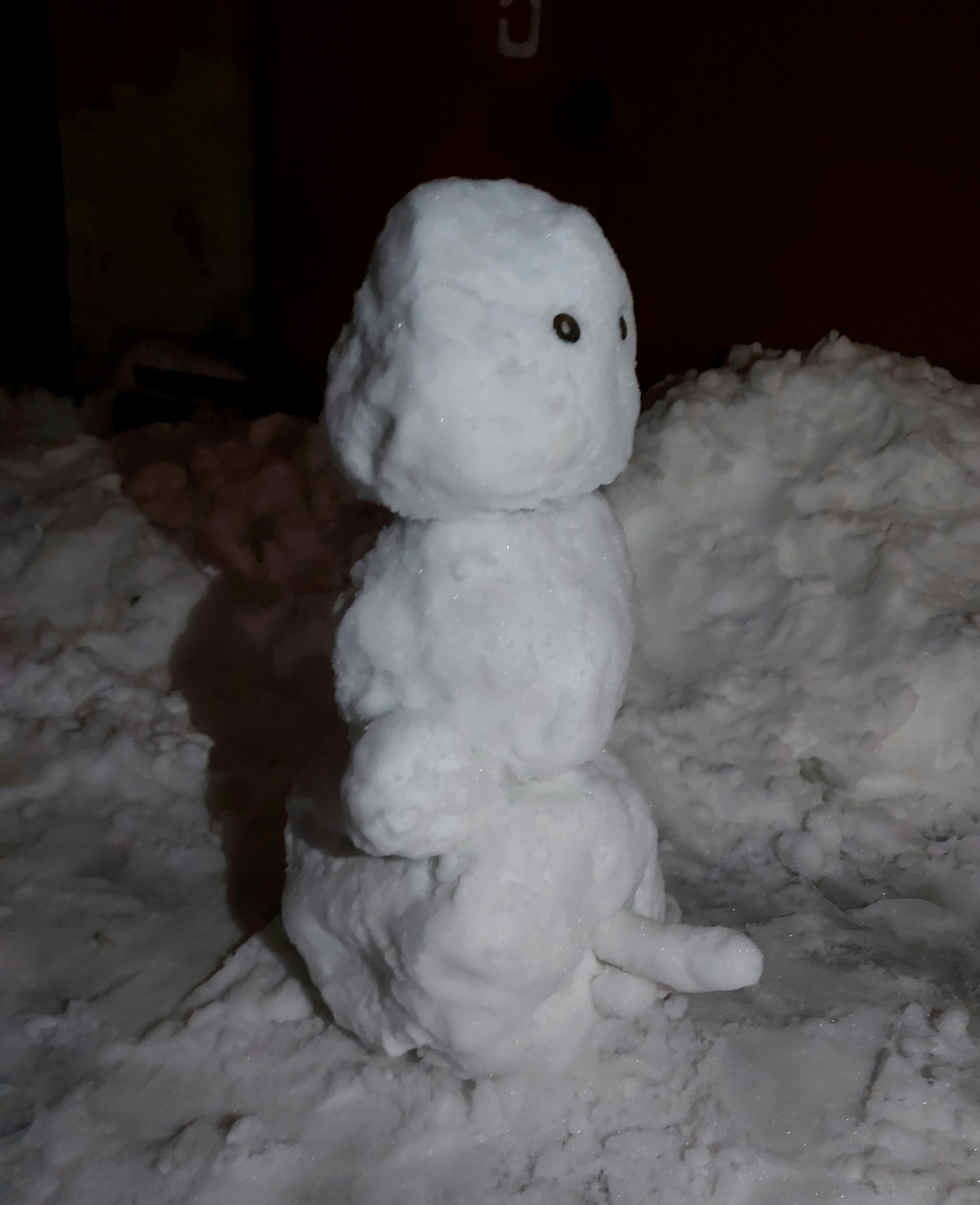 Sexian - NSFW, My, snowman, Penis, First snow, Taimyr