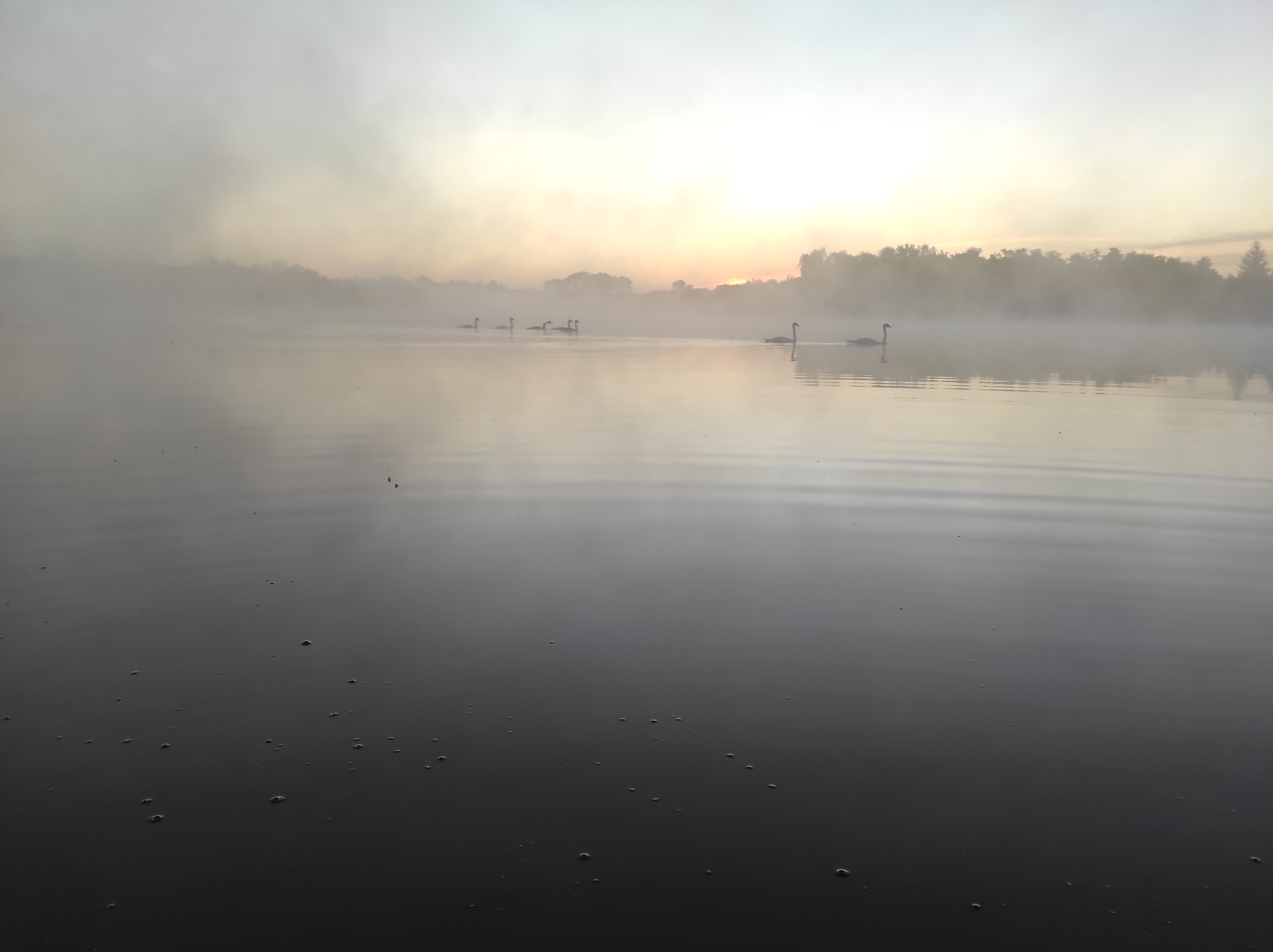 Fishing - My, Fishing, River, Autumn