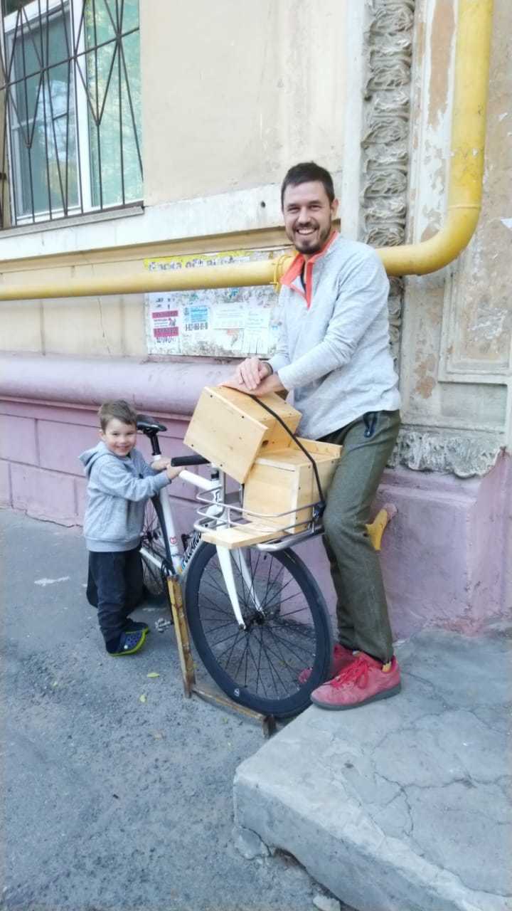 В Волго-Ахтубинской пойме птицам предрешено стать бездомными - Волгоград, Экоград, Экология, Природа, Длиннопост, Видео