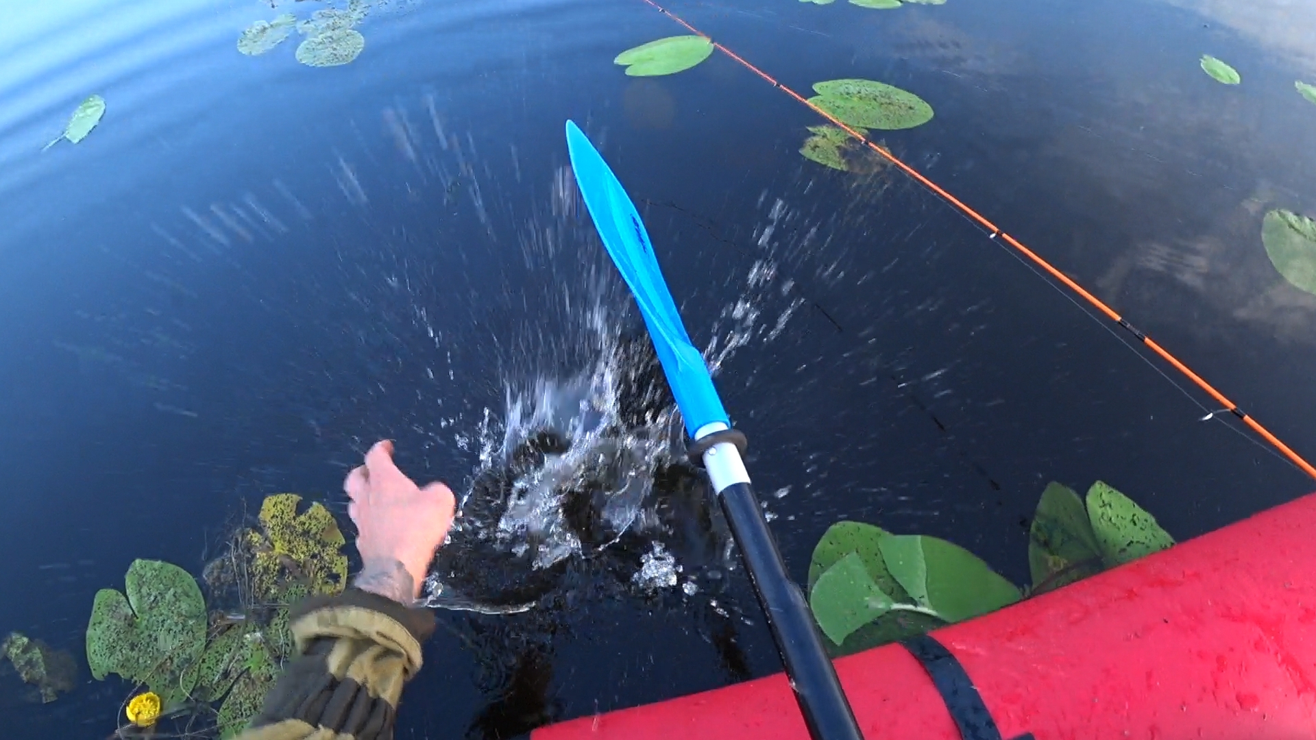 Redfin on ultralight - My, Fishing, Redfish, Spinning, Video, Longpost