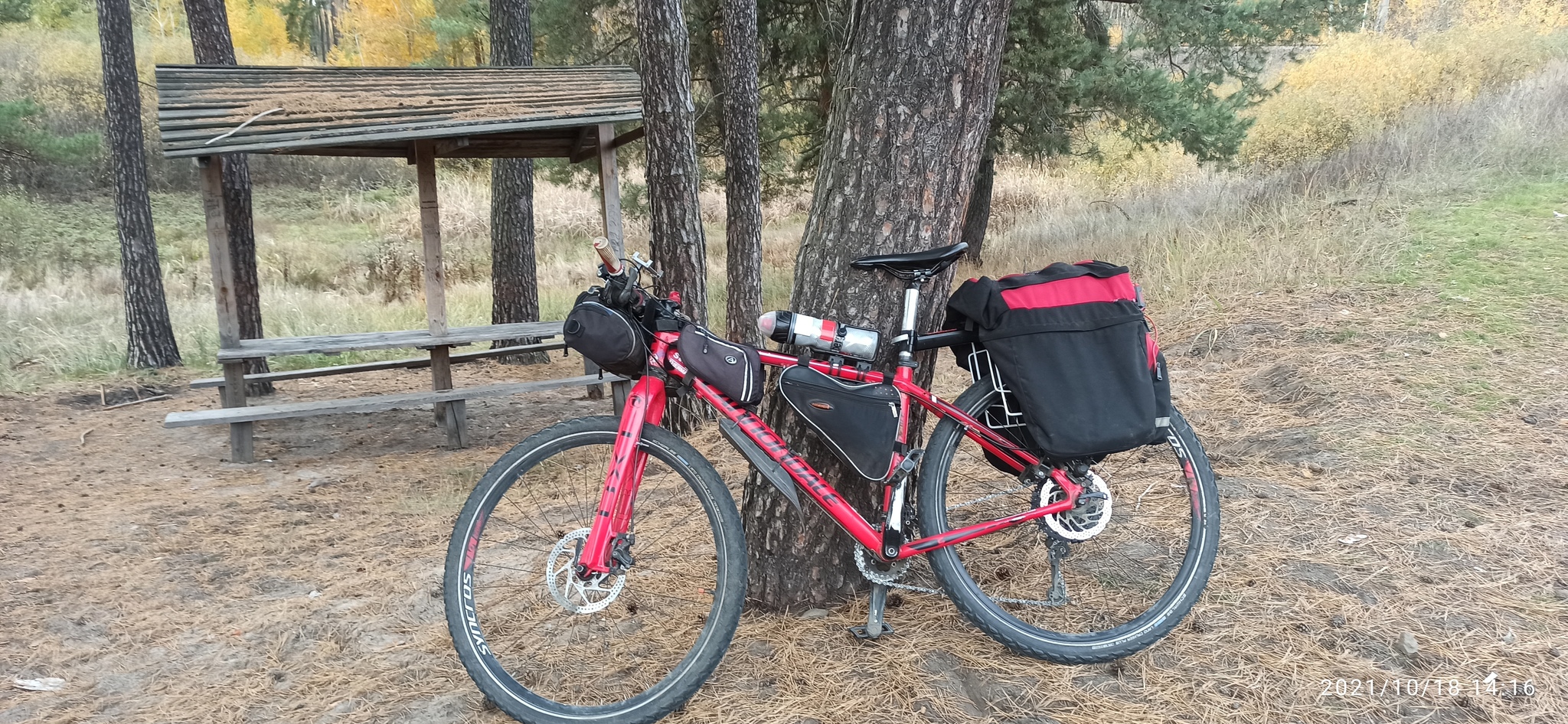 Golden autumn, abandoned Romantic camp - My, A bike, Bike ride, Cannondale, Camp, Abandoned, Autumn, Longpost