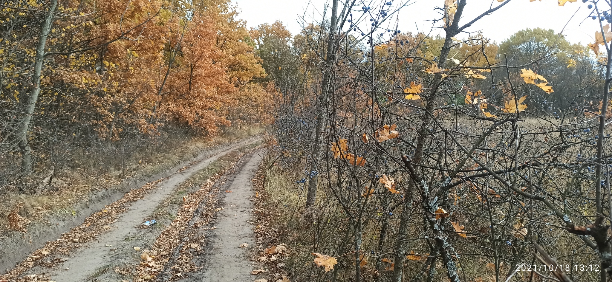 Golden autumn, abandoned Romantic camp - My, A bike, Bike ride, Cannondale, Camp, Abandoned, Autumn, Longpost