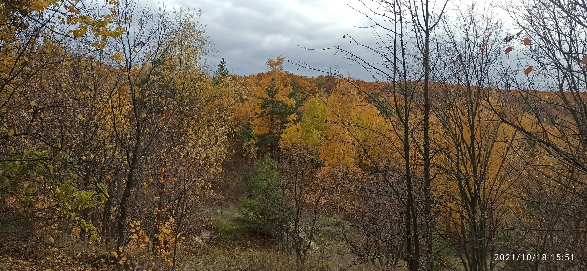 Golden autumn, abandoned Romantic camp - My, A bike, Bike ride, Cannondale, Camp, Abandoned, Autumn, Longpost