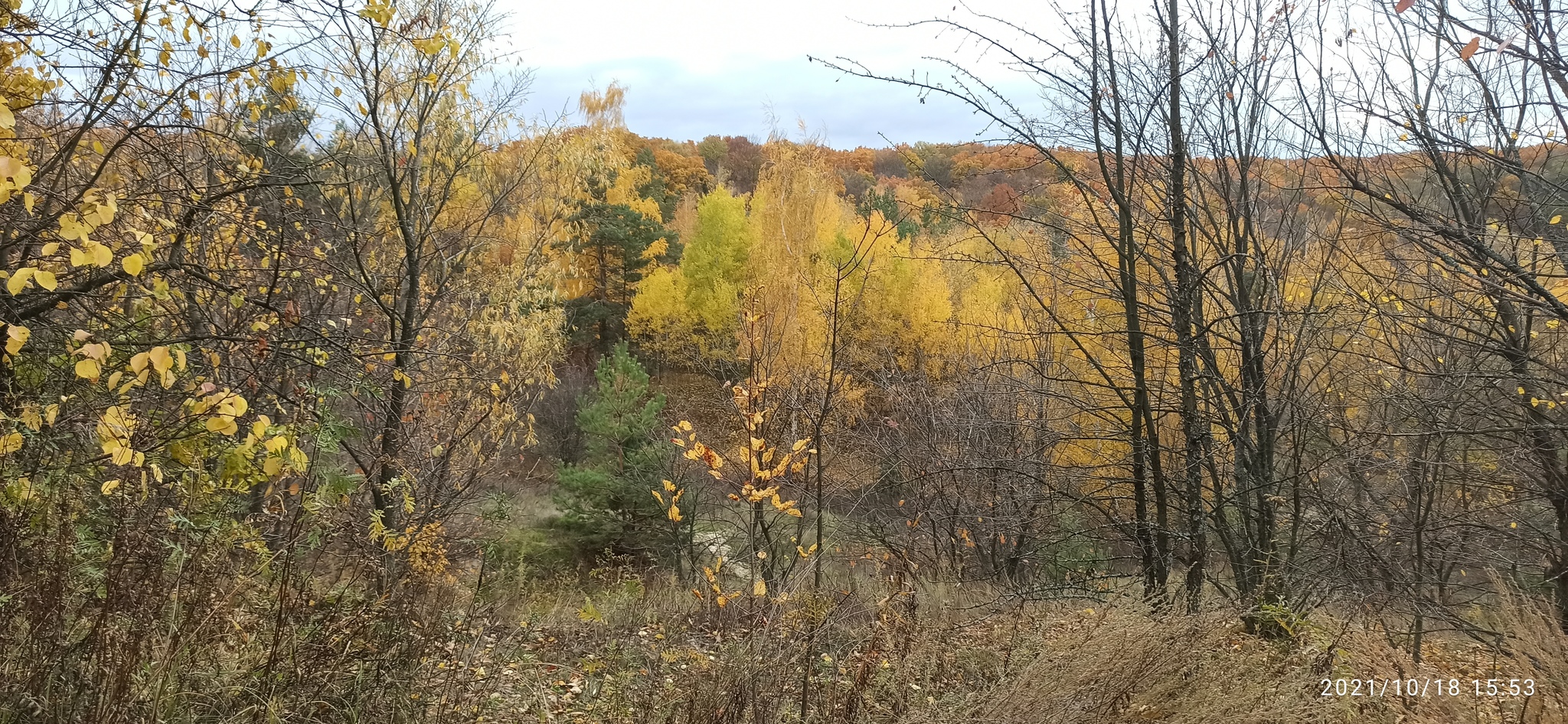 Golden autumn, abandoned Romantic camp - My, A bike, Bike ride, Cannondale, Camp, Abandoned, Autumn, Longpost