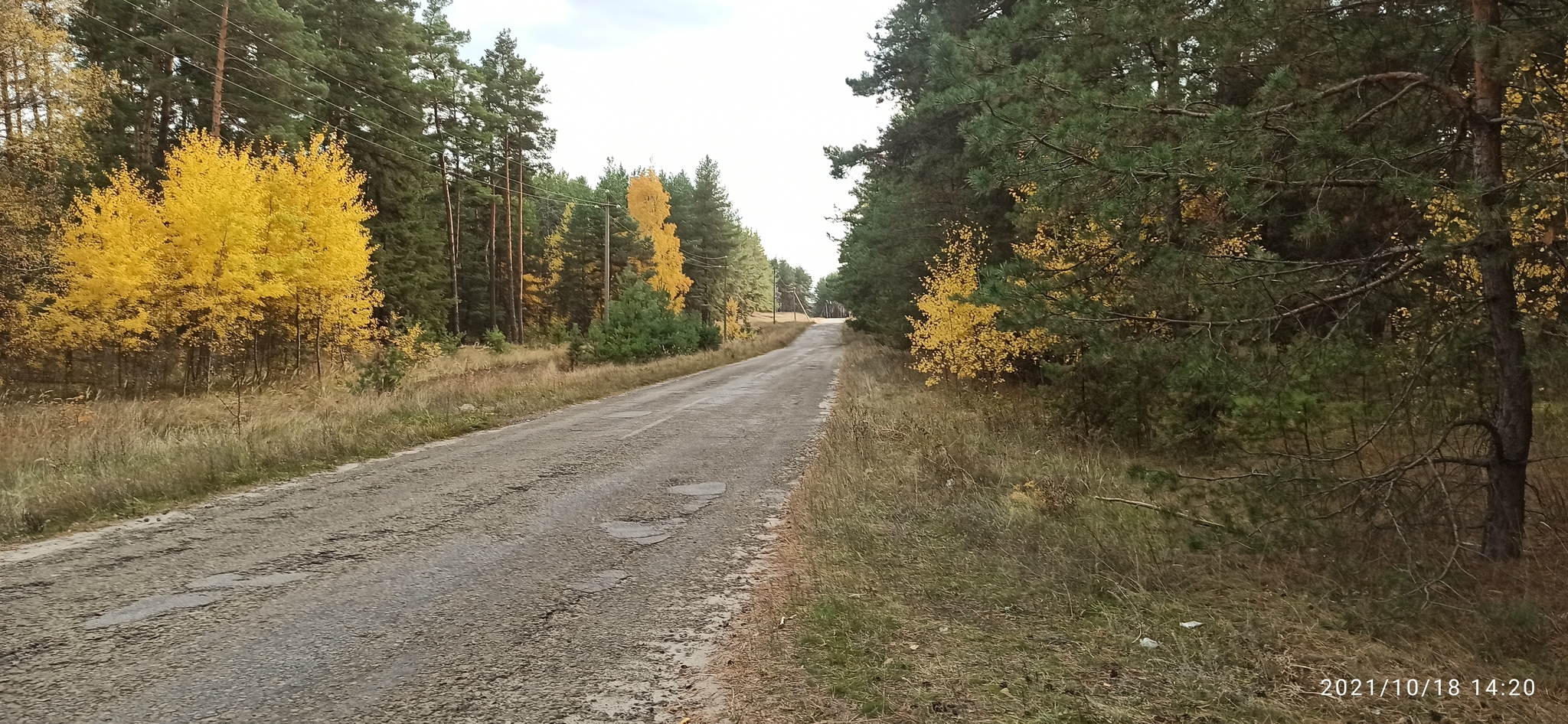 Golden autumn, abandoned Romantic camp - My, A bike, Bike ride, Cannondale, Camp, Abandoned, Autumn, Longpost