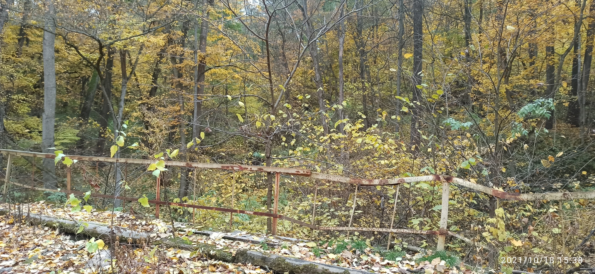 Golden autumn, abandoned Romantic camp - My, A bike, Bike ride, Cannondale, Camp, Abandoned, Autumn, Longpost