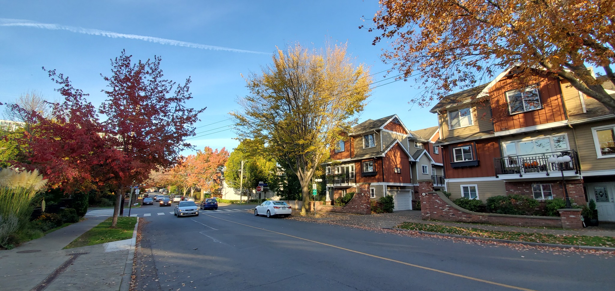 Autumn in Victoria, Canada - My, Canada, Autumn, Town, North America, Longpost