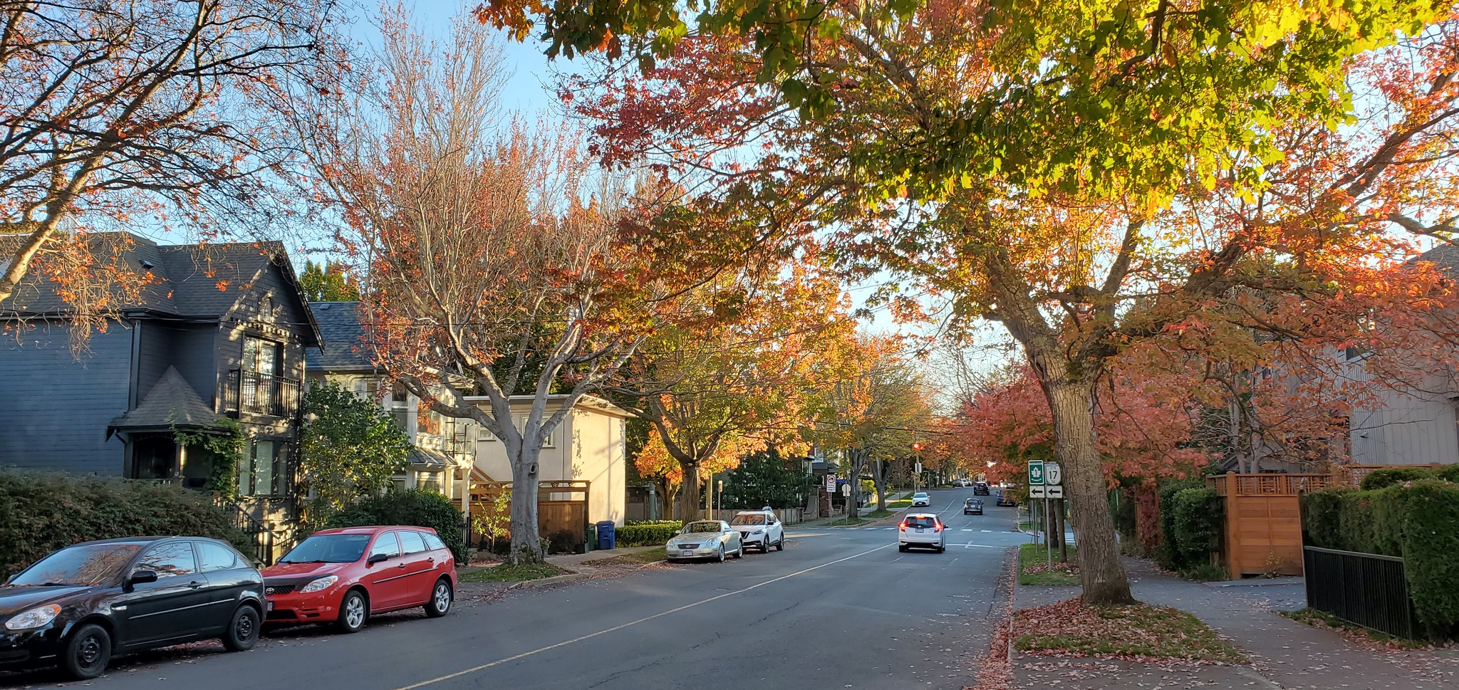 Autumn in Victoria, Canada - My, Canada, Autumn, Town, North America, Longpost