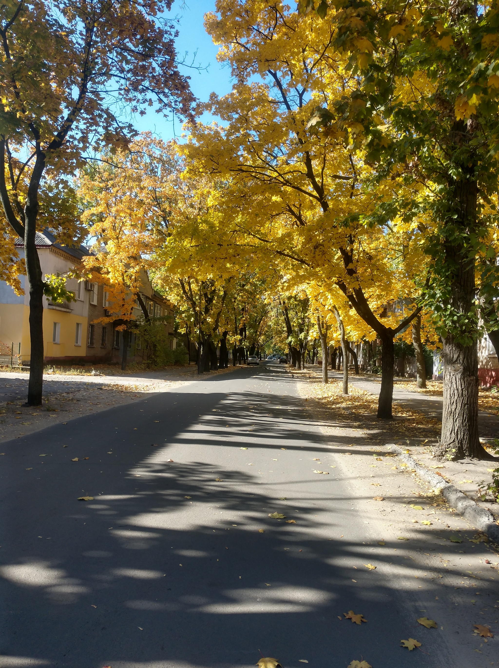 Autumn in my city 2021 - My, Severodonetsk, Autumn, Longpost, The photo