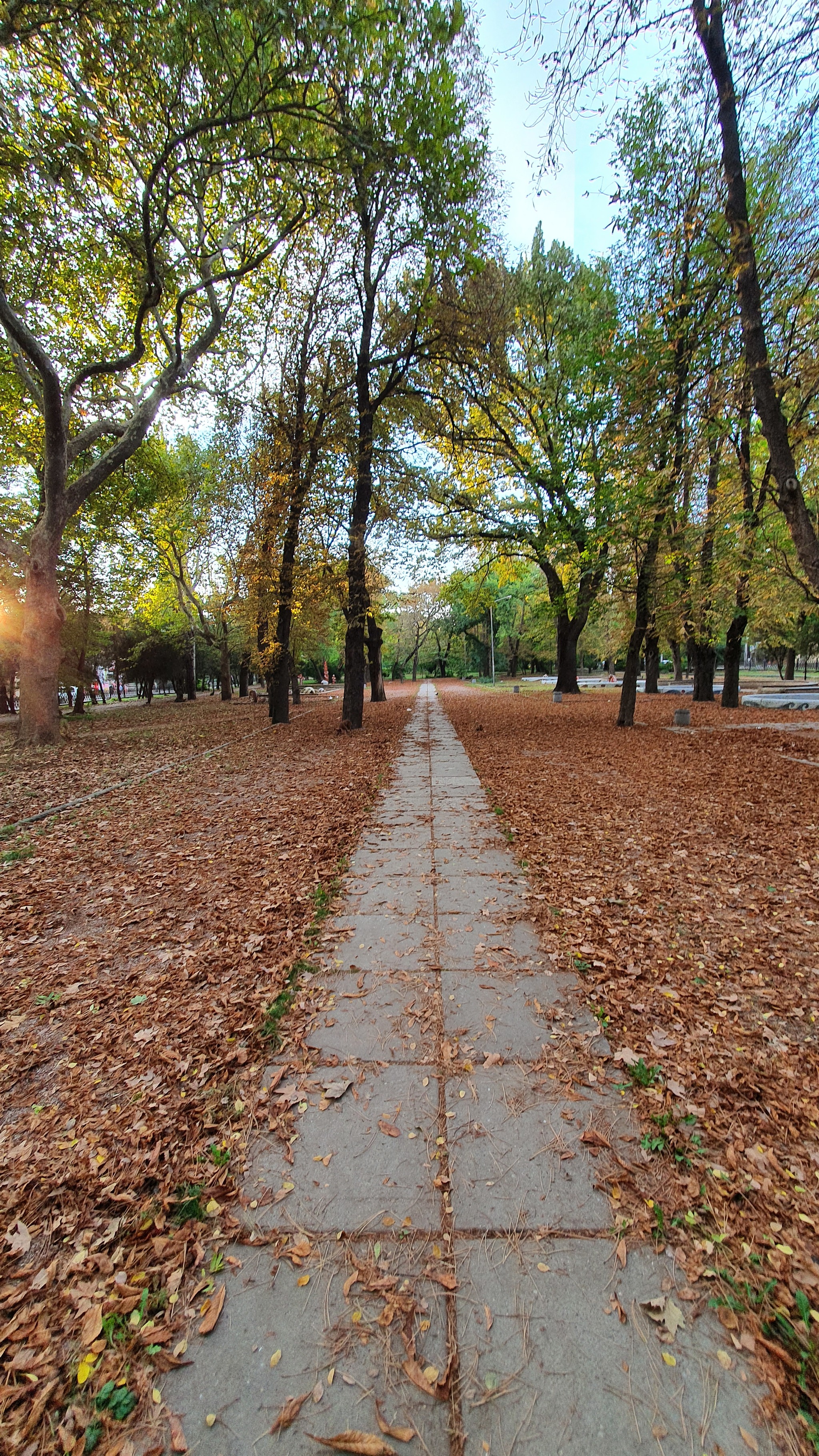 Seasons - My, Simferopol, Autumn, beauty, The photo