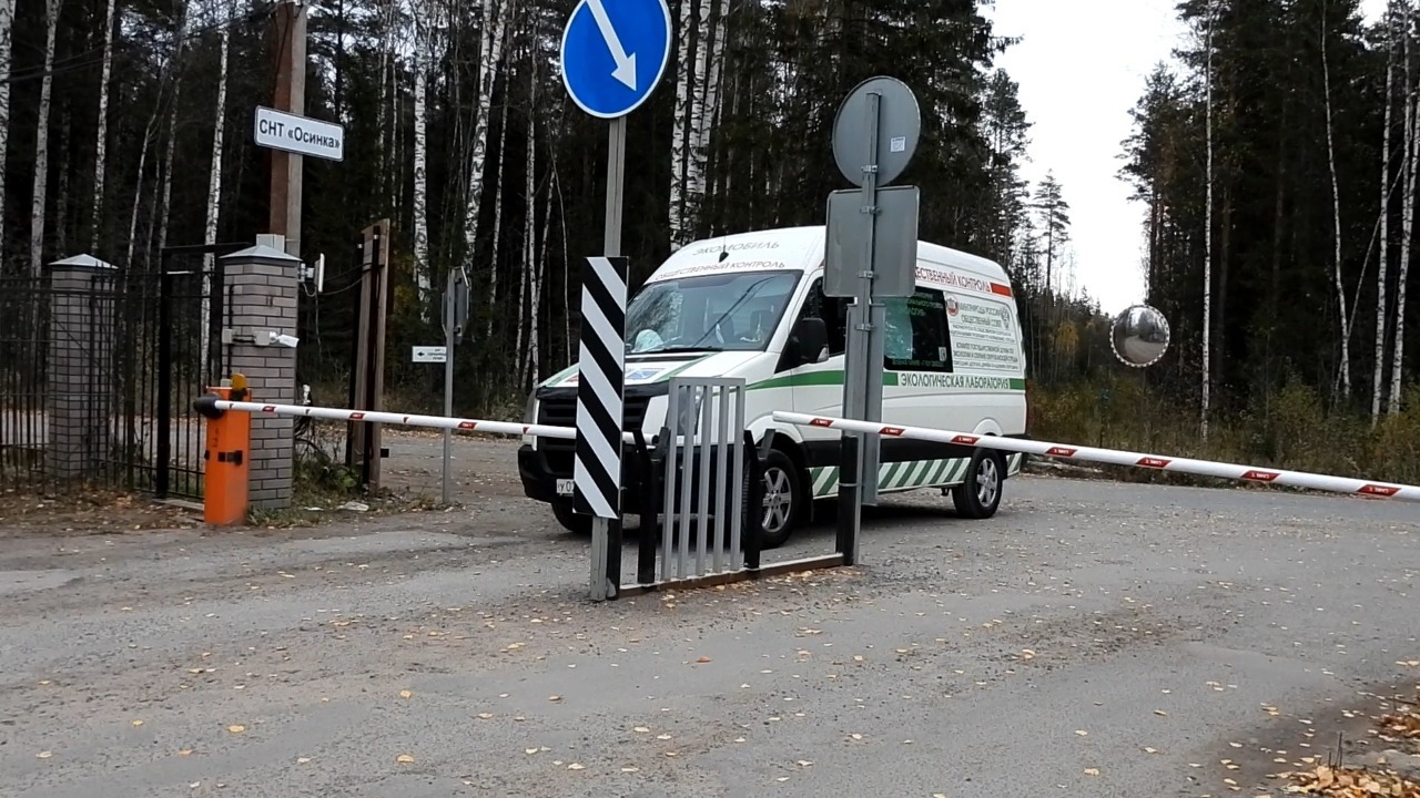 Высокая стоимость земли обрекает лес на уничтожение любителями природы - Ленинградская область, Экоград, Экология, Видео, Длиннопост, Лес