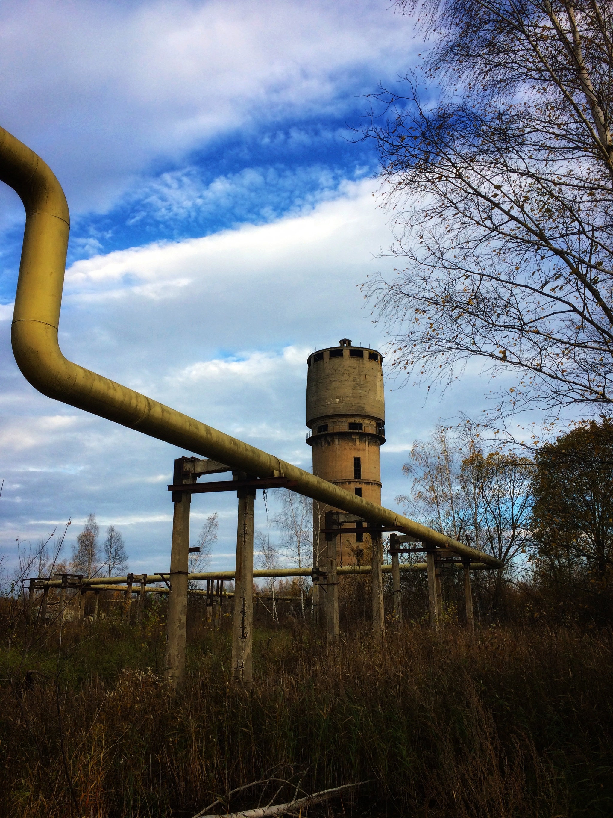 Abandoned factory in the city of Roshal. Fall 2021 (2/2) - My, Abandoned factory, The photo, Longpost