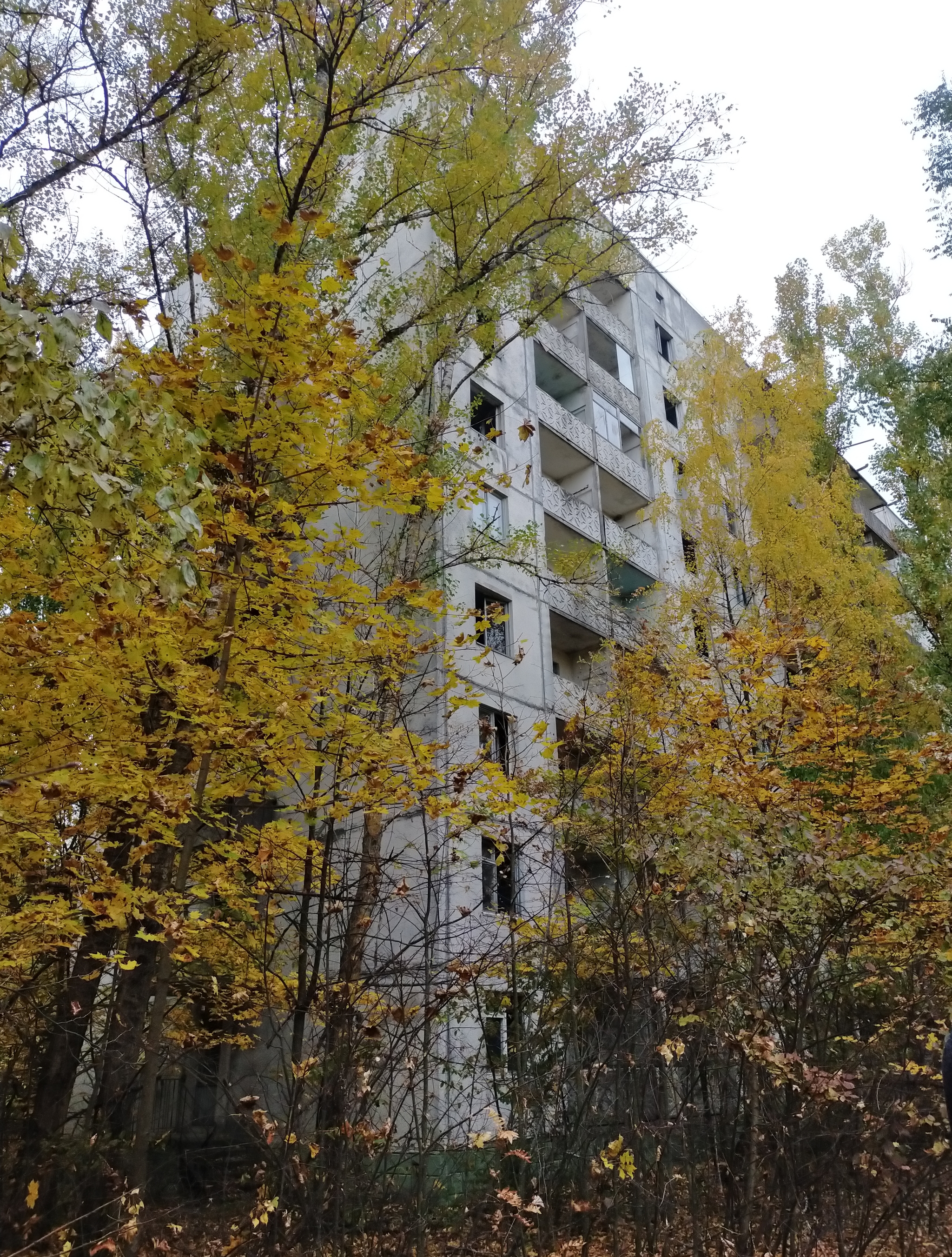 Pripyat autumn - My, Pripyat, Ghost town, Longpost