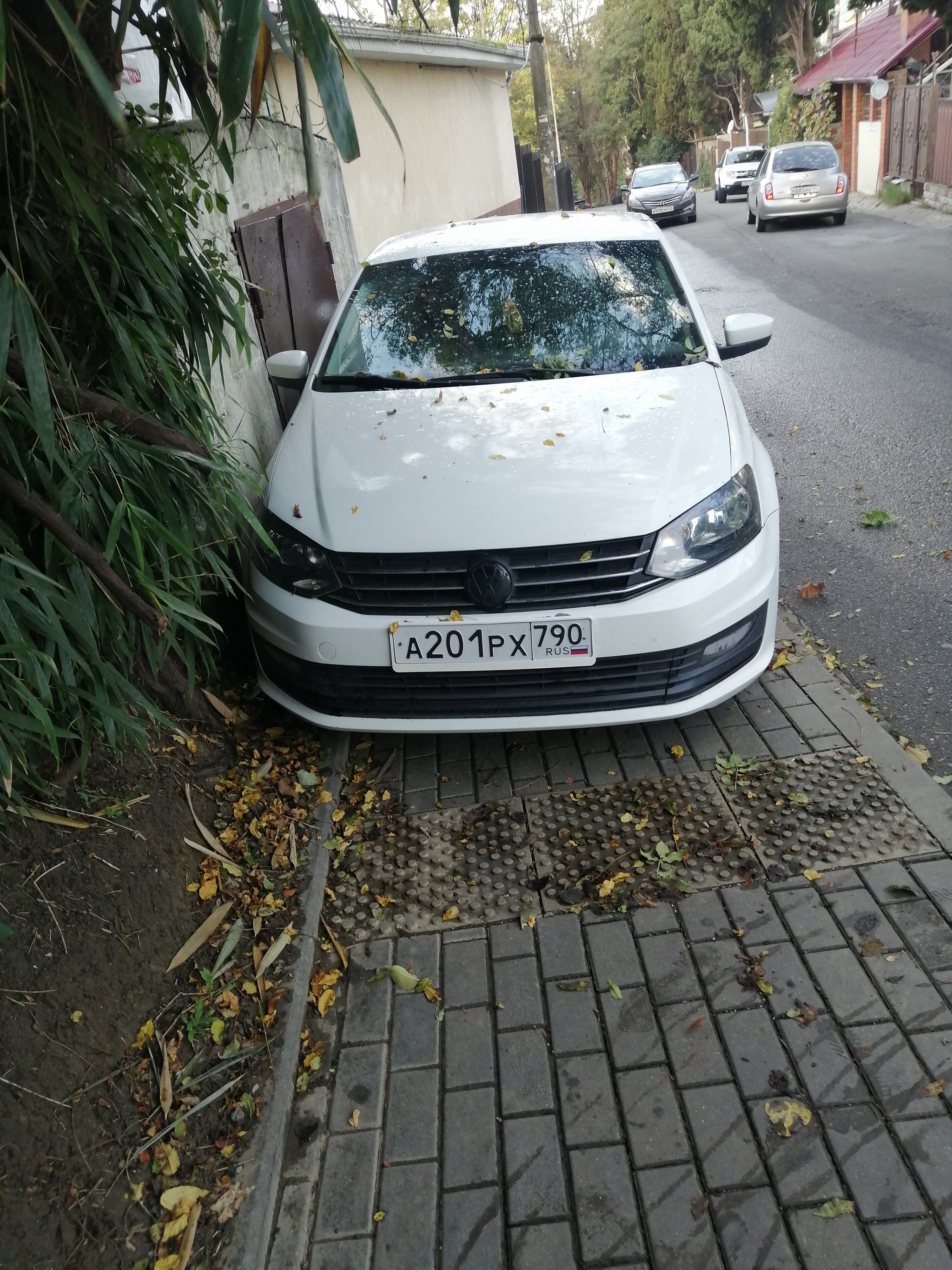 Another non-traditional driver - My, Sochi, Неправильная парковка, Pedestrian zone, Longpost