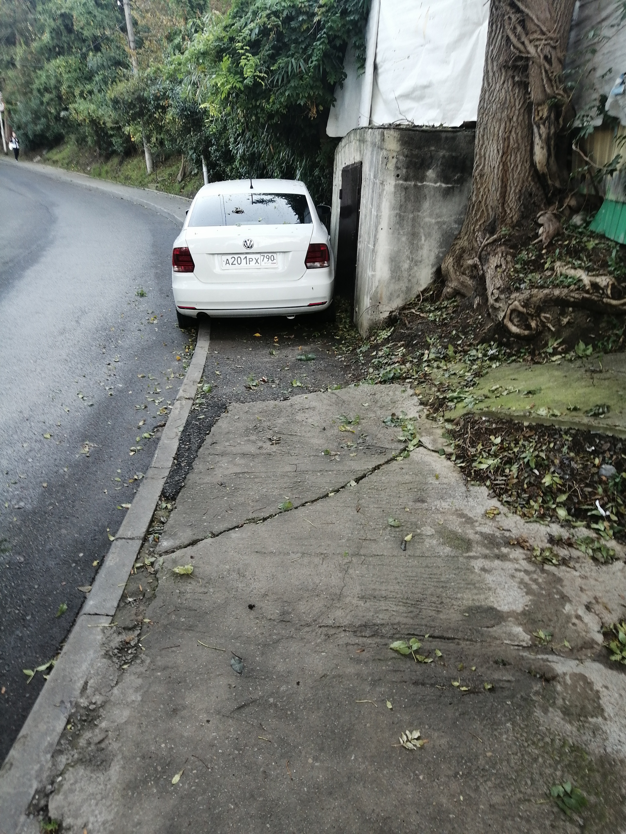 Another non-traditional driver - My, Sochi, Неправильная парковка, Pedestrian zone, Longpost