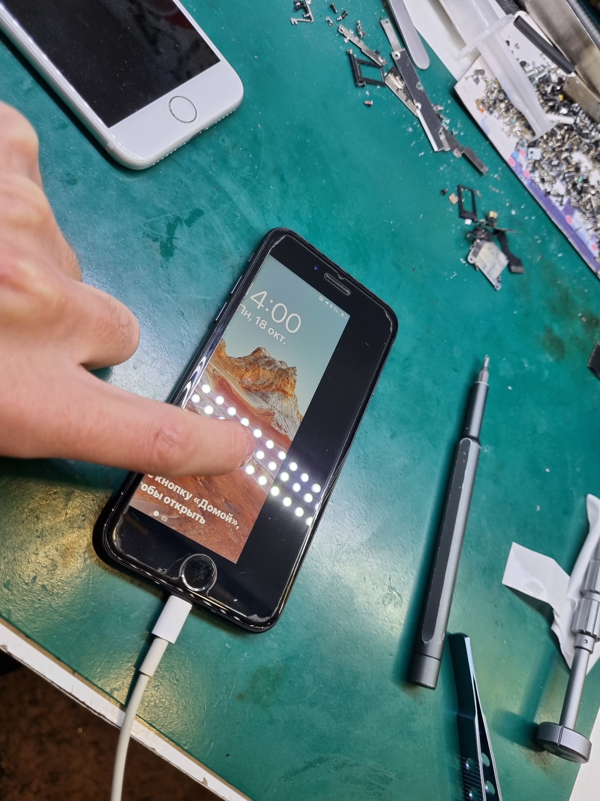 Замена аккумулятора iPhone в Тамбове | Доступные цены на услуги – сервисный центр Pedant