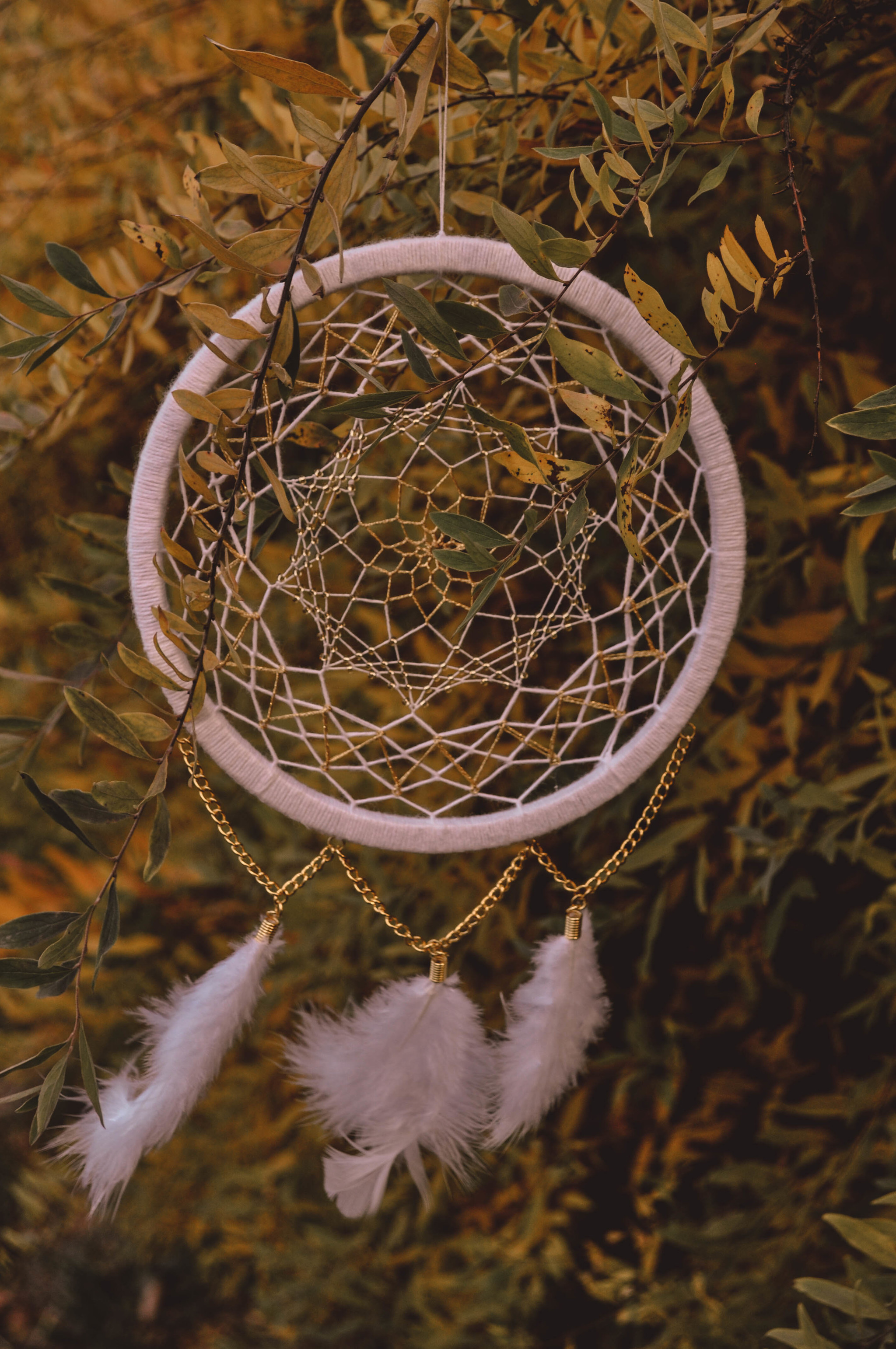 DREAM CATCHERS - My, Dreamcatcher, Needlework, Needlework without process, Handmade, Longpost