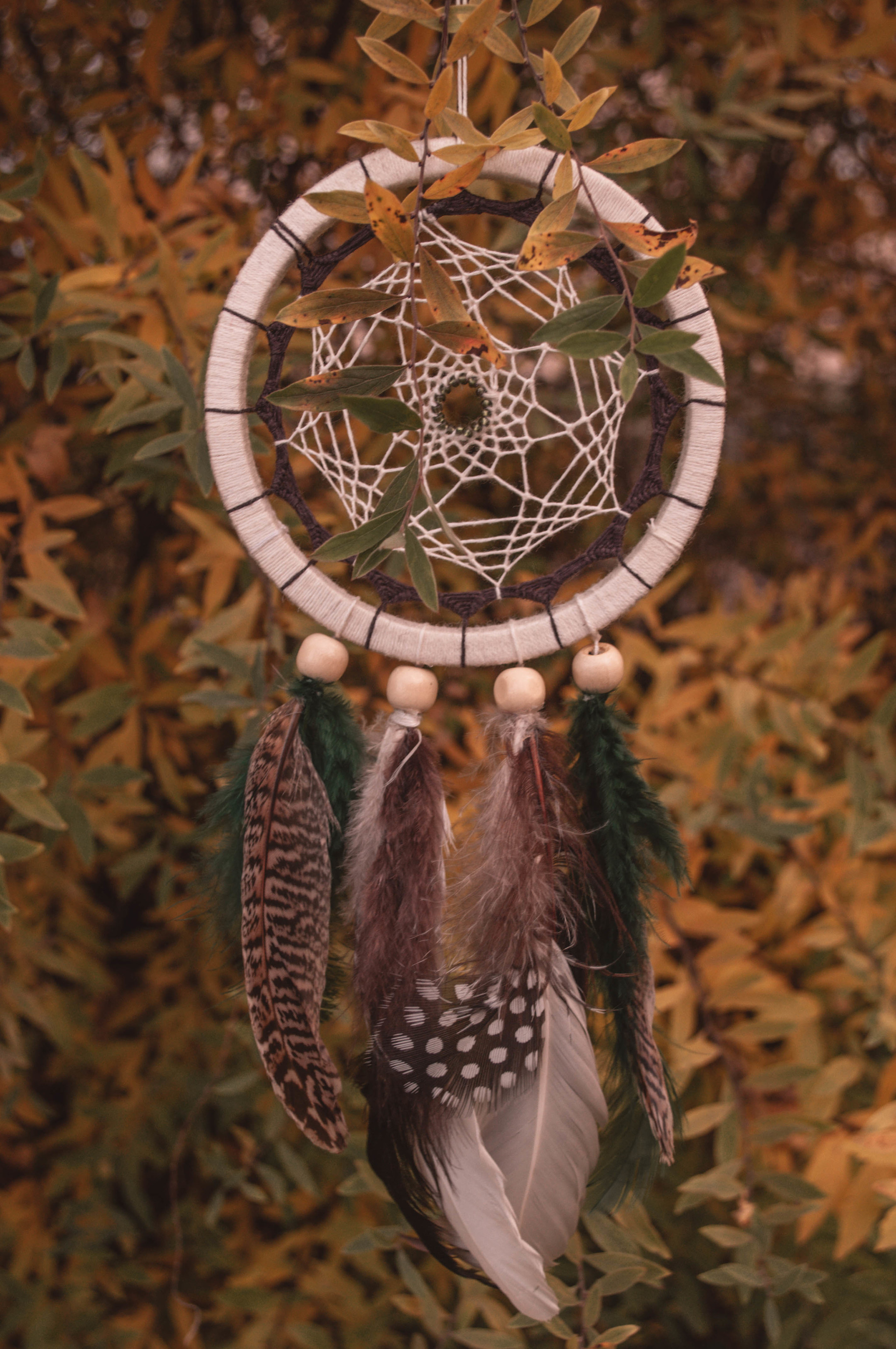 DREAM CATCHERS - My, Dreamcatcher, Needlework, Needlework without process, Handmade, Longpost