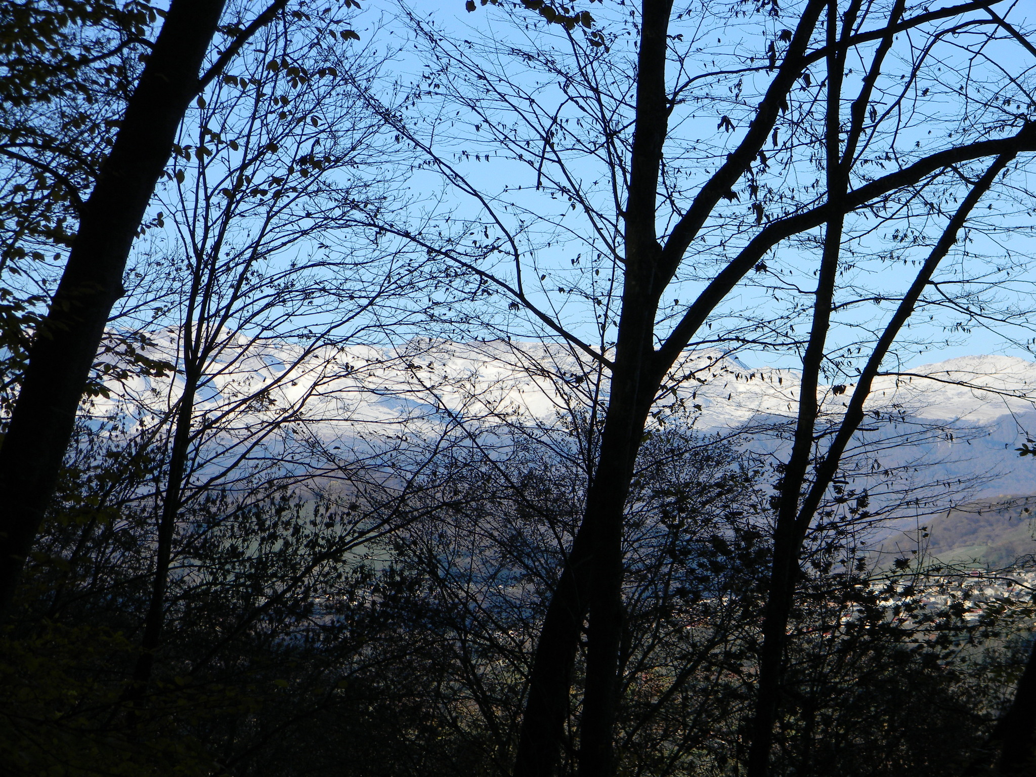 Nalchik. Kizilovka. central park - My, Nalchik, Kabardino-Balkaria, Nature, Autumn, Longpost