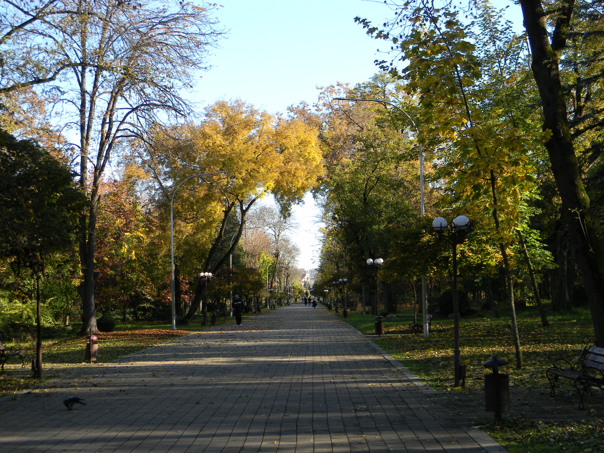 Nalchik. Kizilovka. central park - My, Nalchik, Kabardino-Balkaria, Nature, Autumn, Longpost