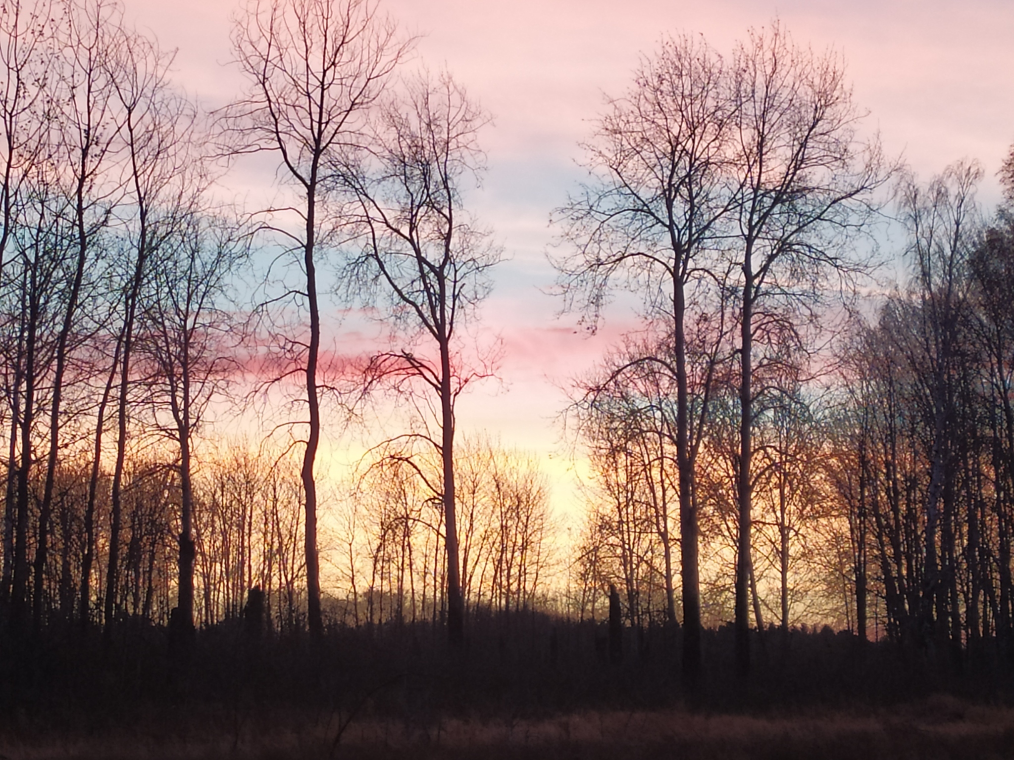 Are you selling the sky? - Photo on sneaker, The photo, Sky, beauty of nature, Tyumen