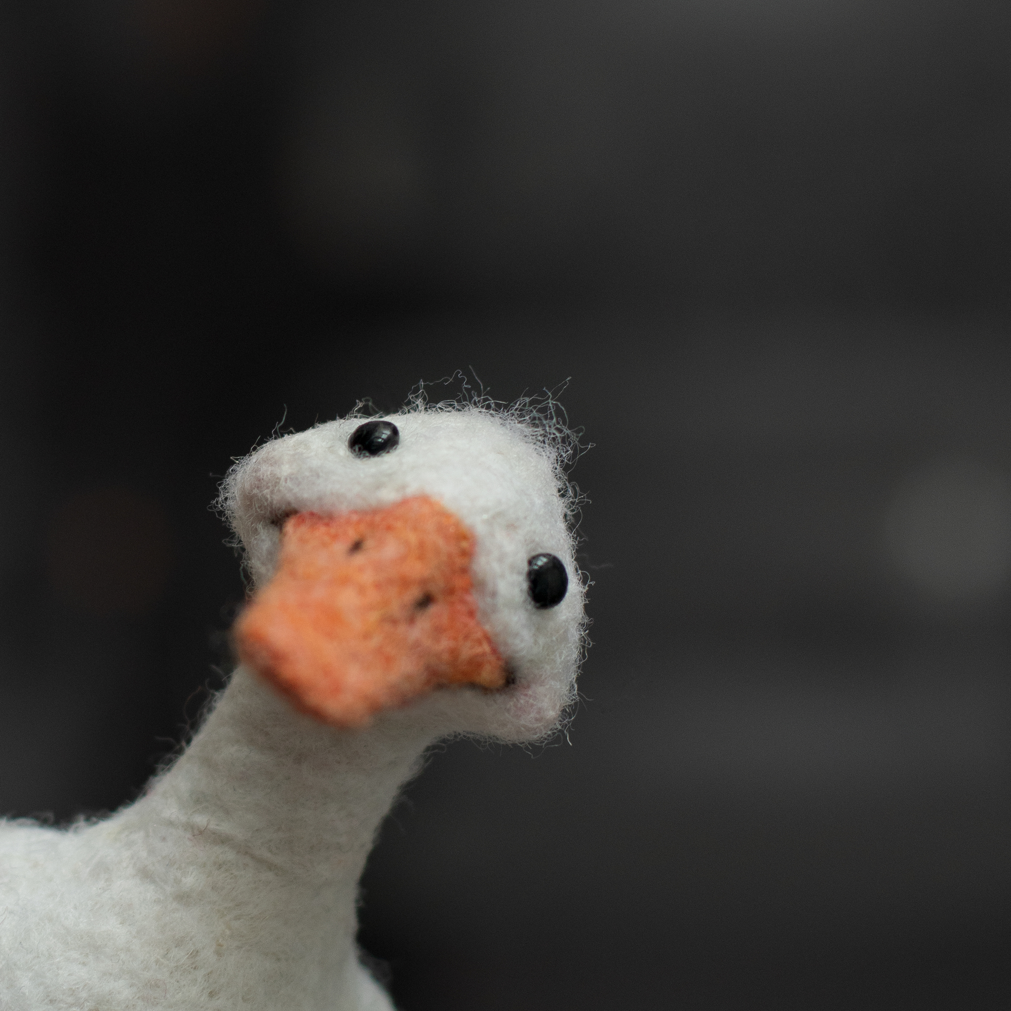 Gratuti - My, Dry felting, Needlework without process, Duck, Ducktales