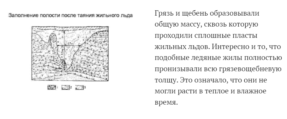 Краткая история мамонтенка Димы - Моё, История науки, Мамонт, Мамонтенок, Мама для мамонтенка, Песенка мамонтенка, Мамонты вымерли, Палеонтология, Биология, , Тундра, Зоологический музей, Зоология, Слоны, Родина слонов, СССР, История СССР, Наука и техника, Наука и жизнь, Научпоп, Познавательно, Шерсть, Длиннопост