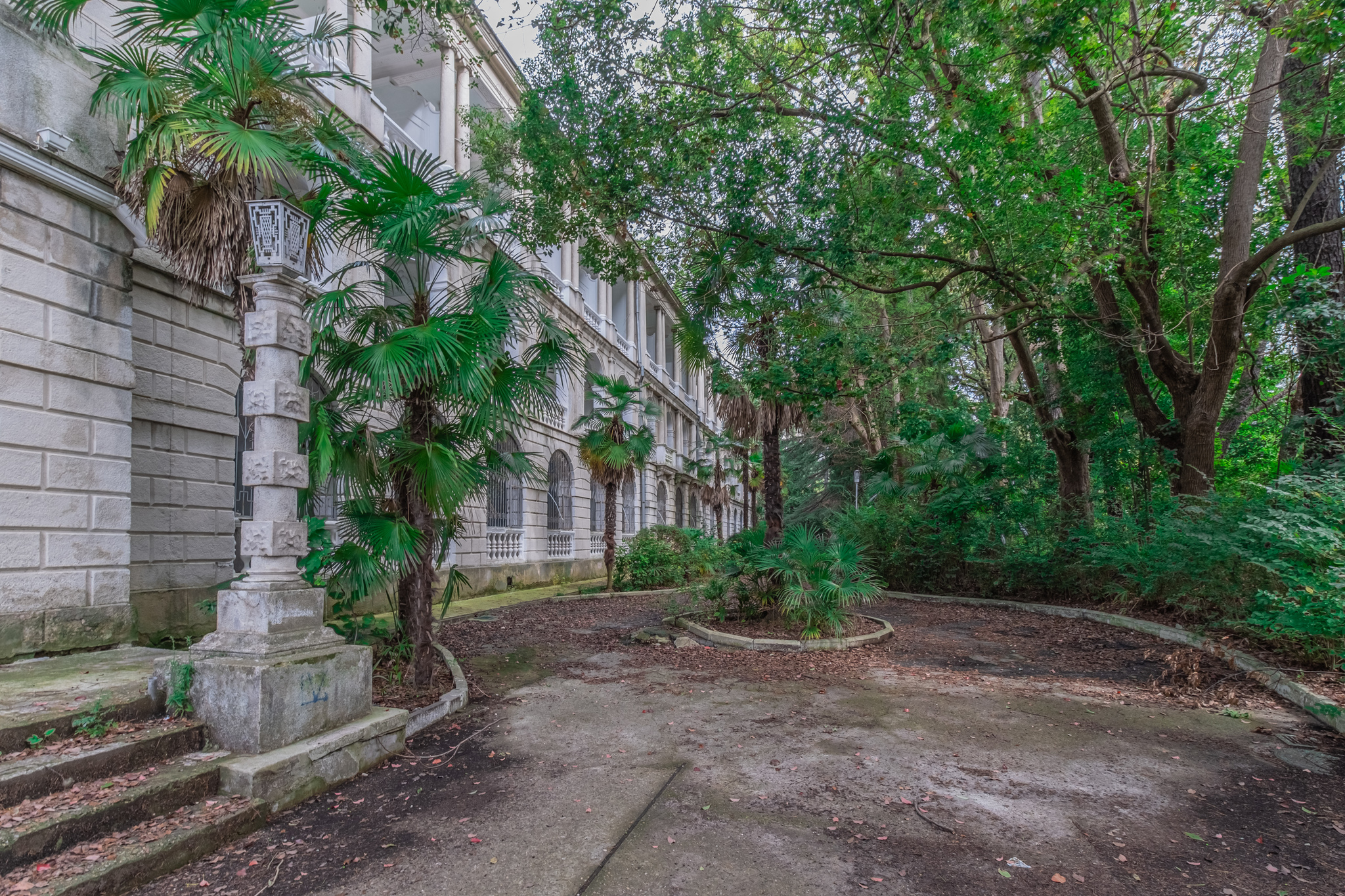 Abandoned sanatorium. - My, The photo, Abandoned, Sochi, Sanatorium, Sanatorium Ordzhonikidze, Longpost