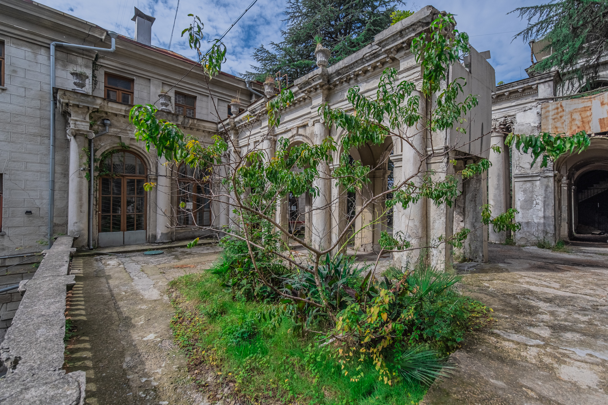 Abandoned sanatorium. - My, The photo, Abandoned, Sochi, Sanatorium, Sanatorium Ordzhonikidze, Longpost