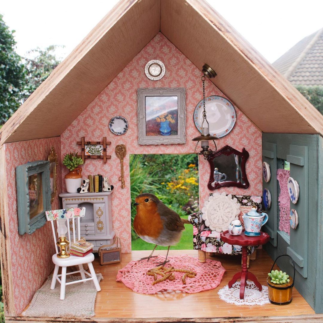 The stylist turned birdhouses into mini-cottages - Birds, Birdhouse, Interior, Interesting, Wild animals, Longpost