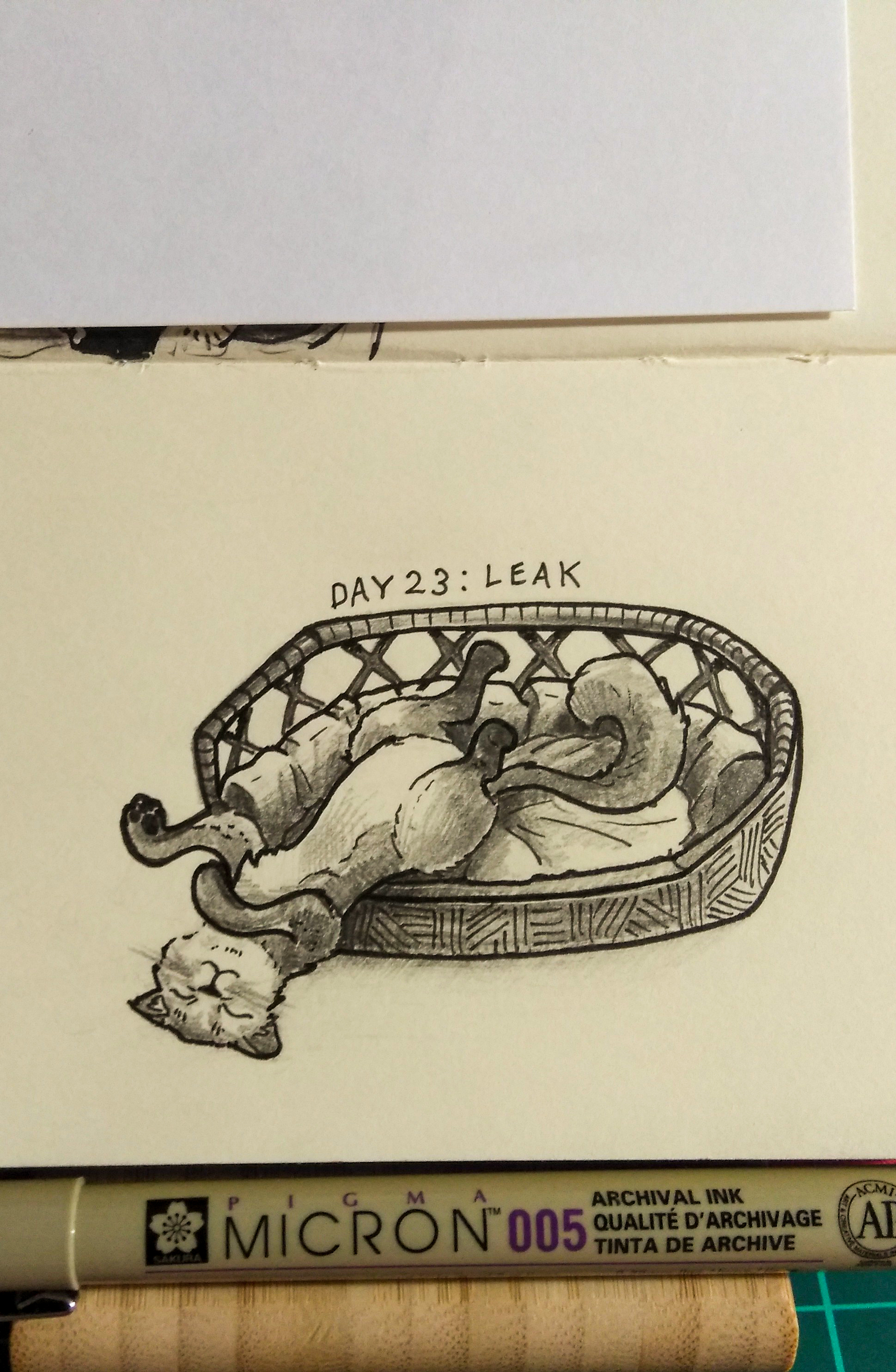 Inktober 2021 - Моё, Inktober, Челлендж, Начинающий художник, Рисование, Рисунок, Линер, Традиционный арт, Арт, , Скетчбук, Кот, Коты это жидкость