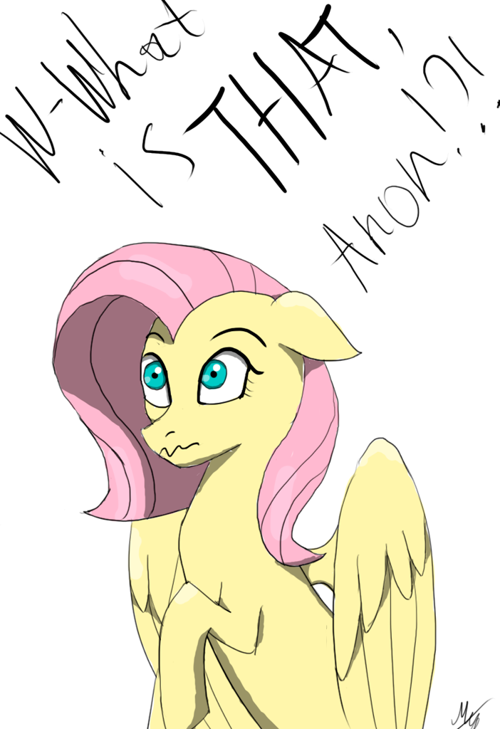 Wh-What is this, Anon!?! - My little pony, Fluttershy