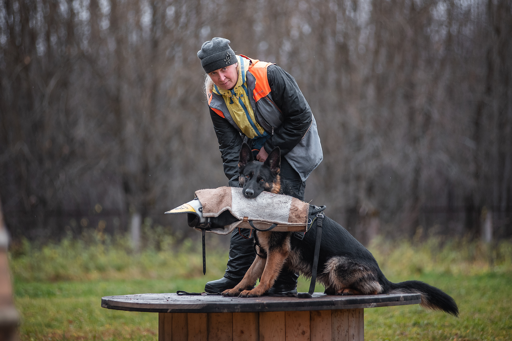 Protection training - My, ZKS, Dog, Uglich, Autumn, The photo, Longpost