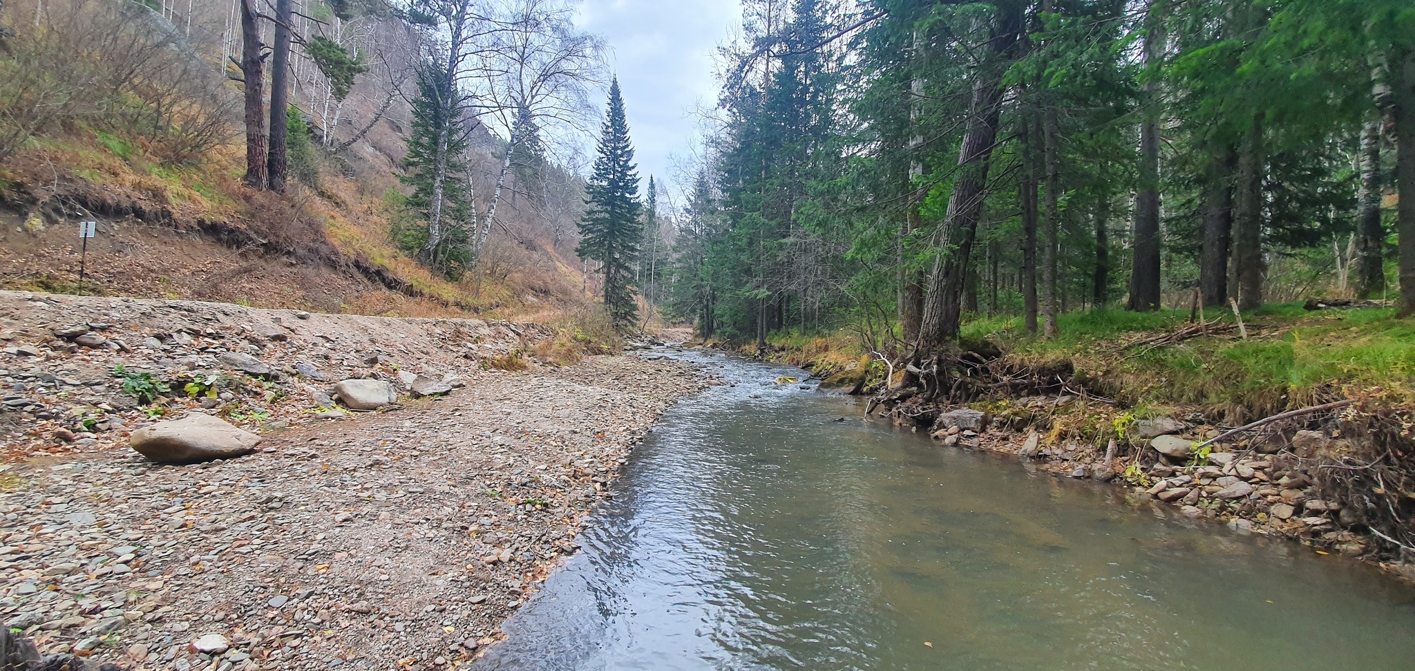 Belokurikha River 10/25/2021 - My, Mobile photography, Longpost, Travels, Nature, River, Forest, Altai region