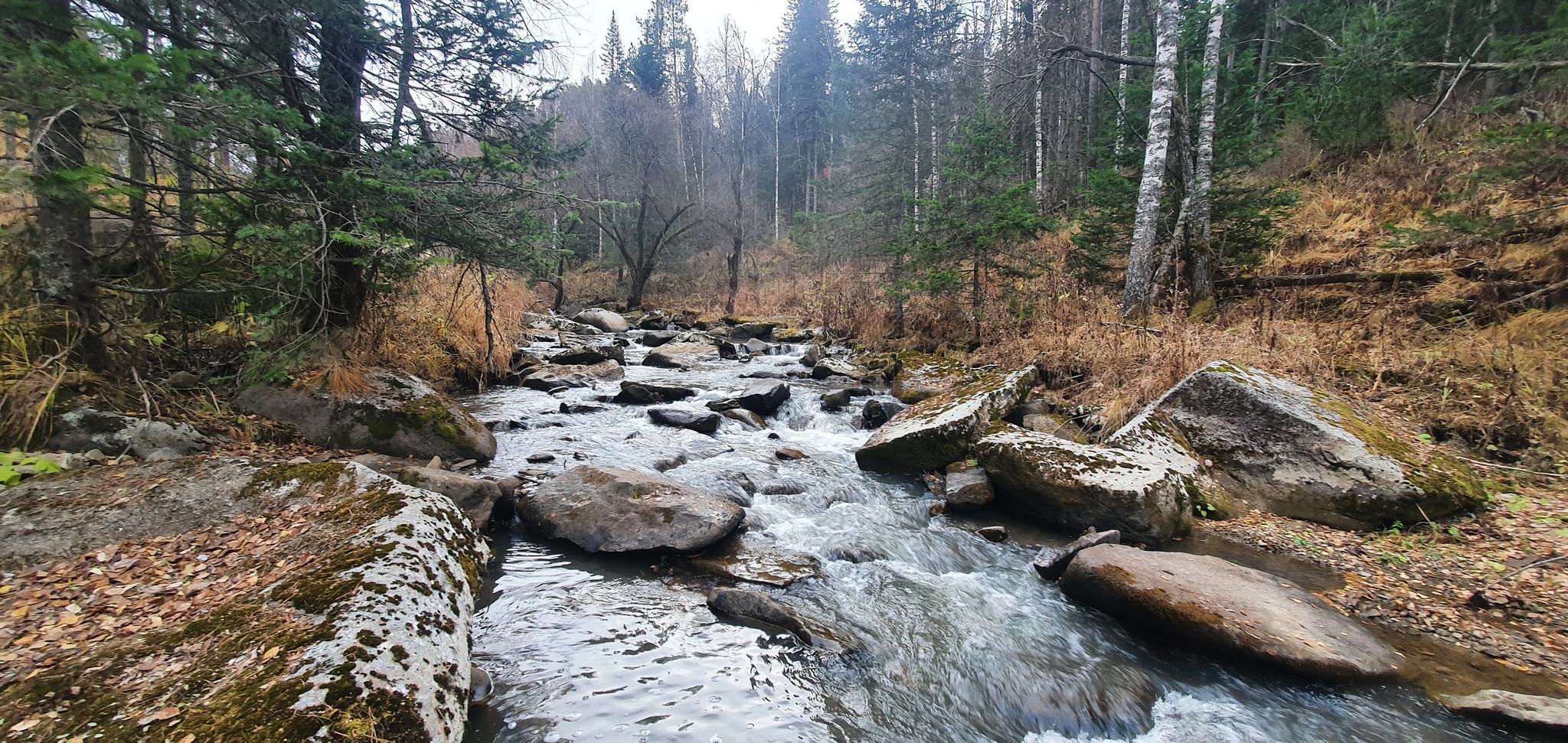 Река Белокуриха 25.10.2021 - Моё, Мобильная фотография, Длиннопост, Путешествия, Природа, Река, Лес, Алтайский край